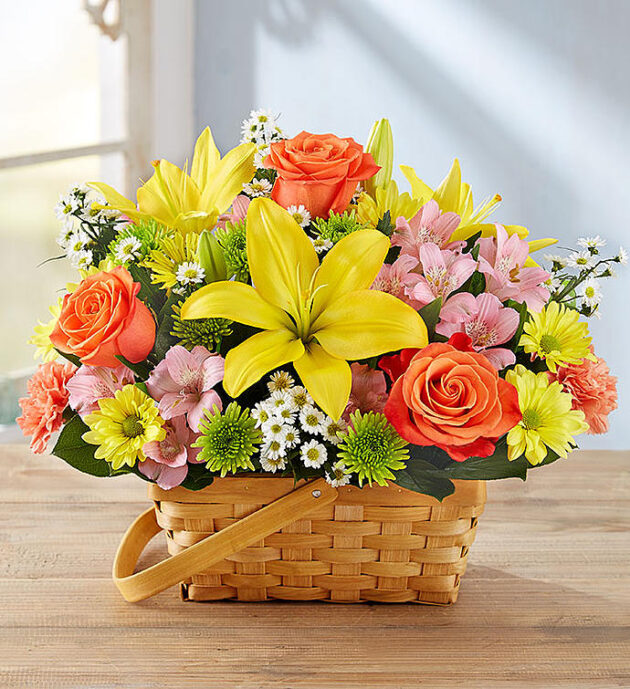 Sunshine in a Basket
