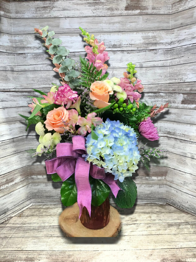 Steen's Hydrangea Fantasy