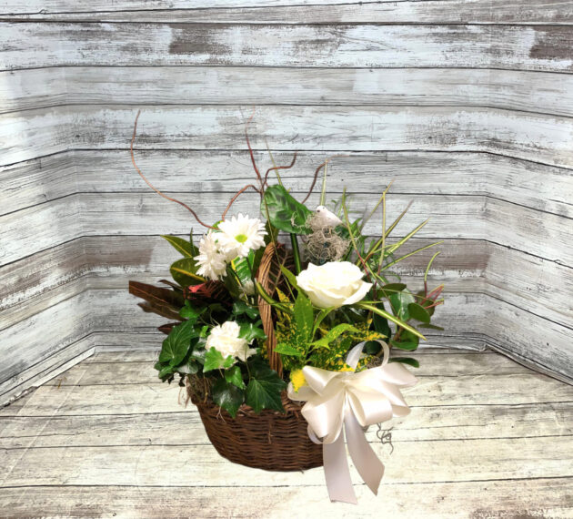 Steen’s White Perfection Garden