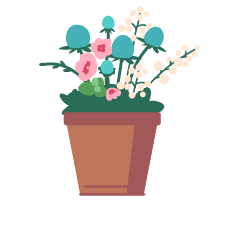 Blooming Plants