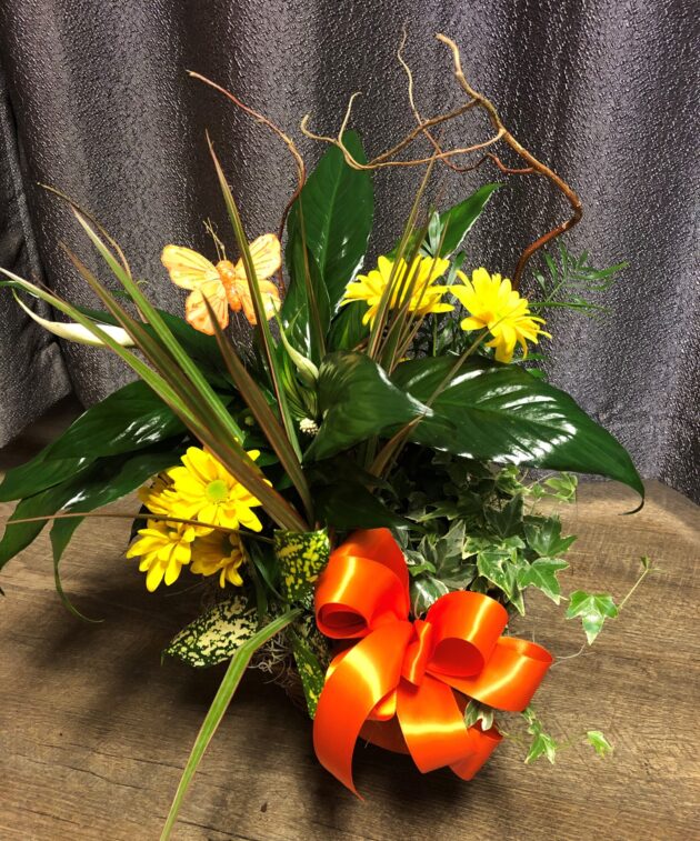 Steen’s Butterfly Garden Planter