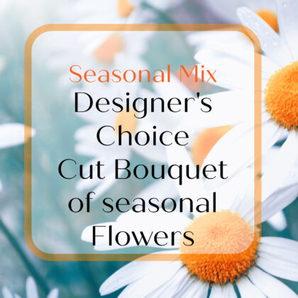 Seasonal Designer's Choice Cut Bouquet