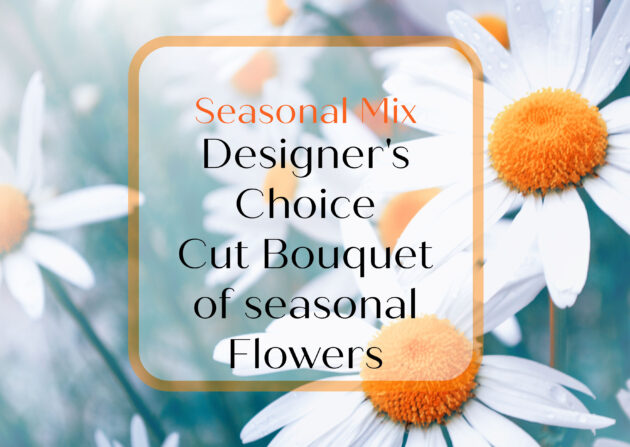Seasonal Designer's Choice Cut Bouquet