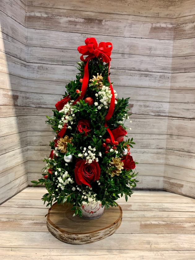 Boxwood Bliss Tree