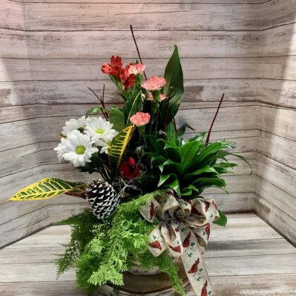 Festive Botanical Ensemble