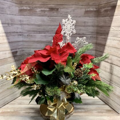 Golden Winter Poinsettia