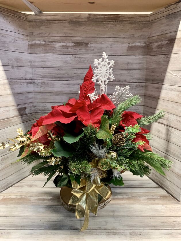Golden Winter Poinsettia