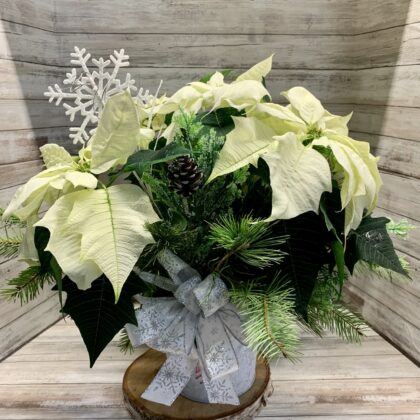 Holiday Elegance Poinsettia