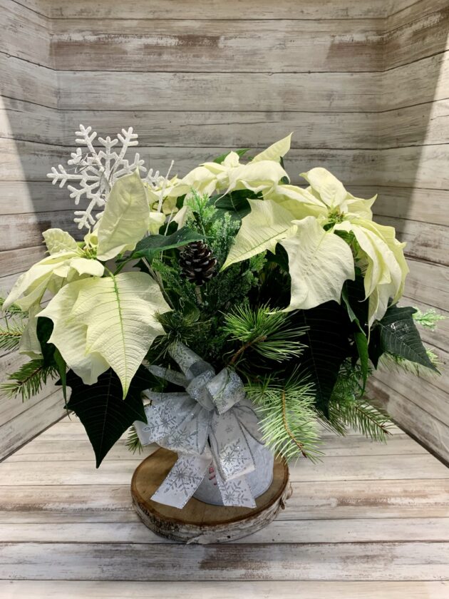Holiday Elegance Poinsettia