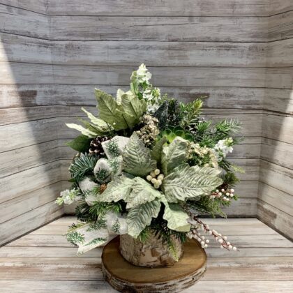 Snow-kiss Evergreen Delight