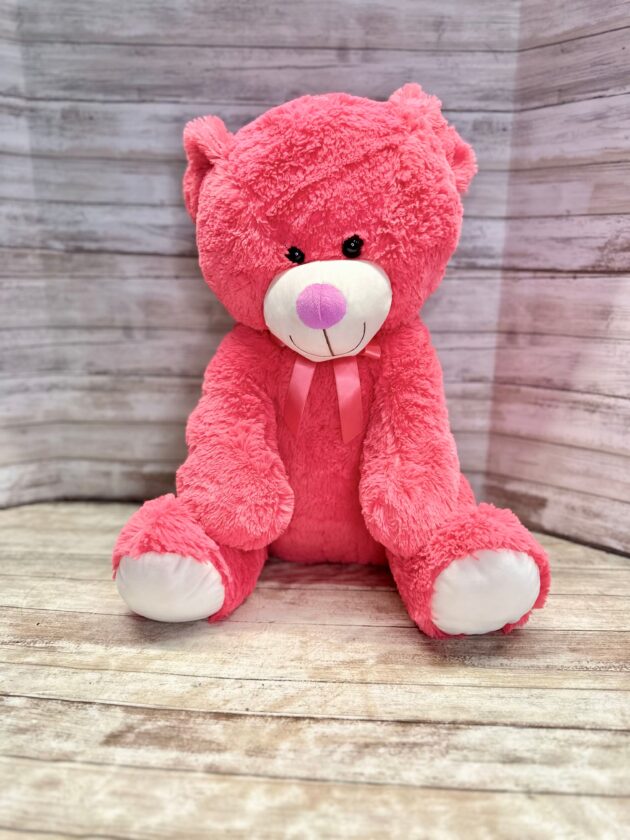 Pink Passion Plush Teddy