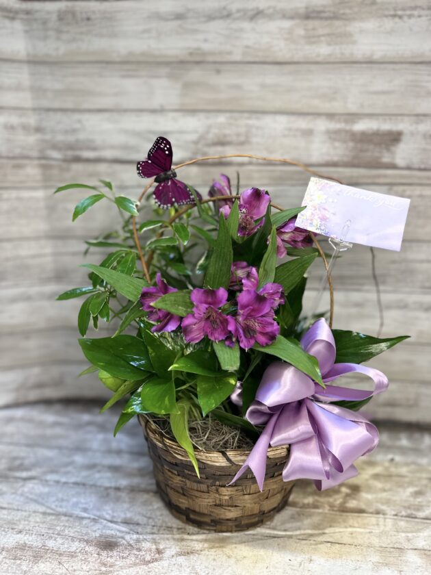 Administrative Professionals' Day Desk Plant